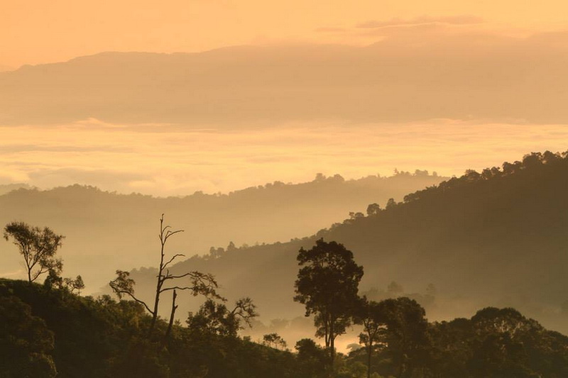 Hilly landscape with mist and trees beneath a colorful sky at dawn or dusk at Doi Pha Hom Pok National Park.