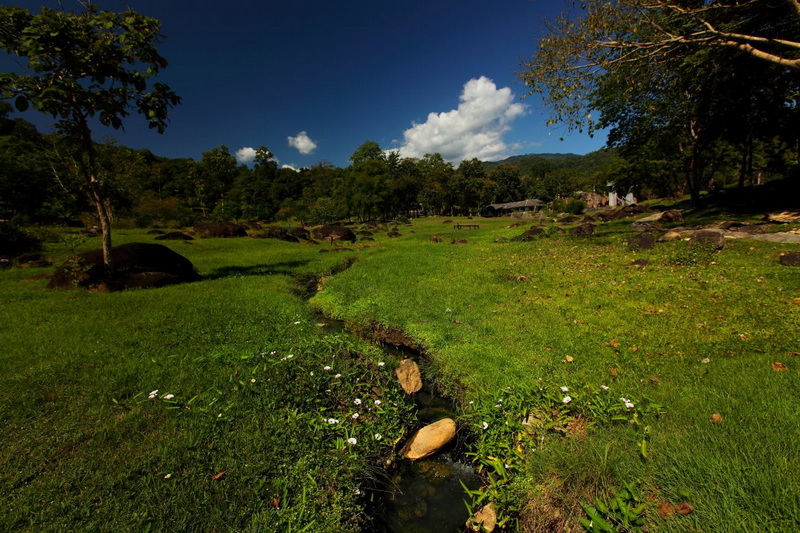 Green field with a small stream, trees, rocks, and blue sky with clouds at Doi Pha Hom Pok National Park.