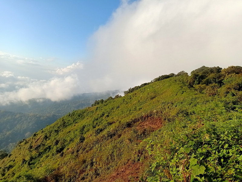 Scenic Mountain View at Doi Pha Hom Pok National Park Green mountain slope covered with bushes and plants under a partly cloudy sky at Doi Pha Hom Pok National Park.