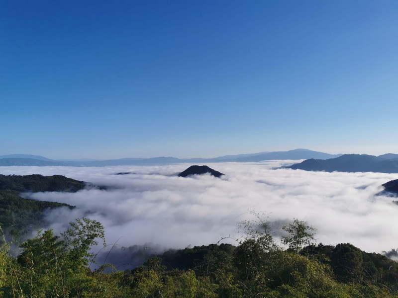 Mountain View above Clouds at Doi Pha Hom Pok National Park Mountains and hills covered with clouds under a bright blue sky at Doi Pha Hom Pok National Park.