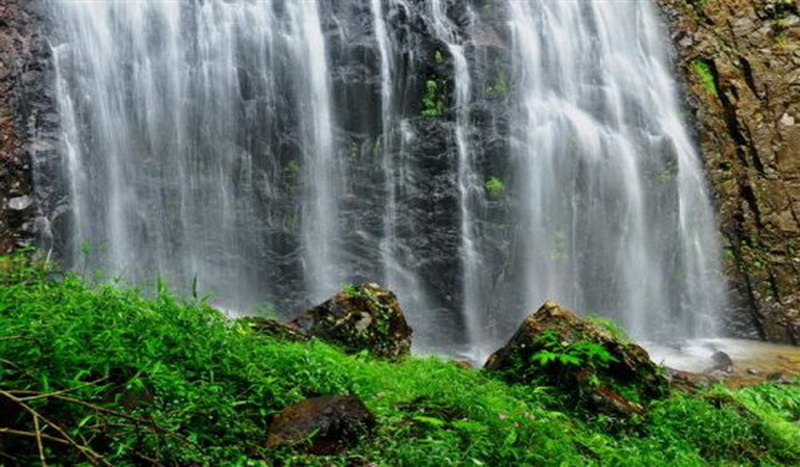Serene Waterfall in Nature at Doi Pha Hom Pok National Park Waterfall cascading over rocks with green plants at the base at Doi Pha Hom Pok National Park.
