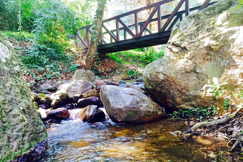 A forest stream with rocks and a wooden bridge overhead surrounded by greenery at Huay Kaew Waterfall.