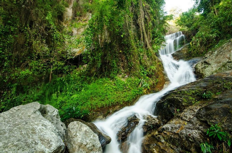 Serene Forest Waterfall at Huay Kaew Waterfall Water flowing over rocks surrounded by green plants and trees in a forest at Huay Kaew Waterfall.
