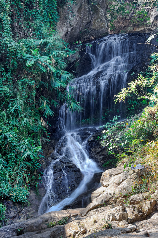Lush Waterfall in Nature at Huai Kaew Waterfall Stream of water flowing over rocks amid dense green foliage and ferns at Huai Kaew Waterfall.