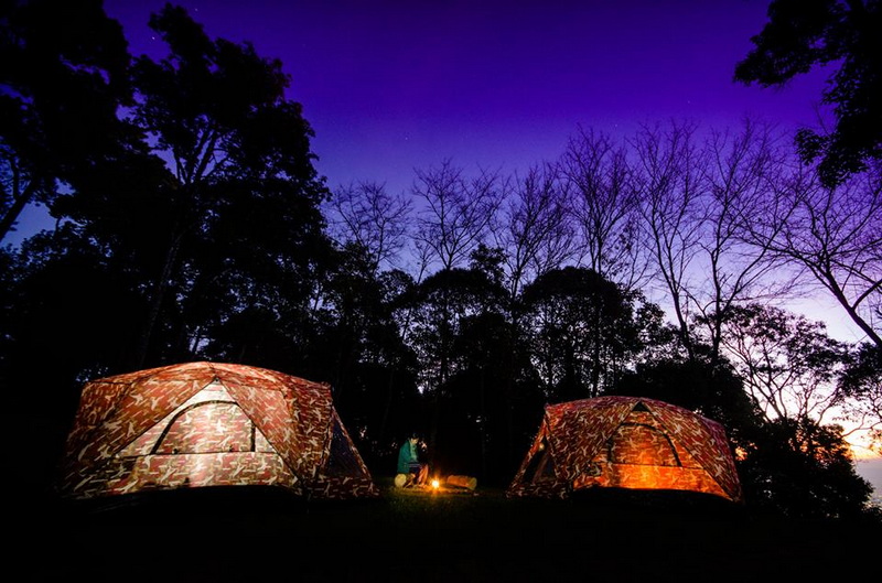 Camping in the Forest at Dusk at Doi Suthep-Pui National Park Two camouflage tents pitched in a forest clearing at dusk with silhouetted trees and a purple sky at Doi Suthep-Pui National Park.