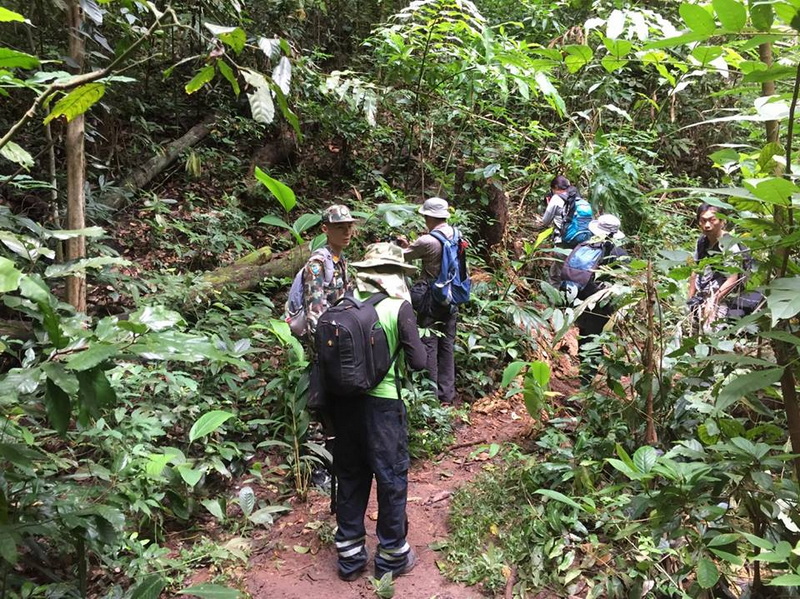 Forest Trail hike at Doi Suthep-Pui National Park Group of hikers walking through a lush green forest trail with backpacks at Doi Suthep-Pui National Park.