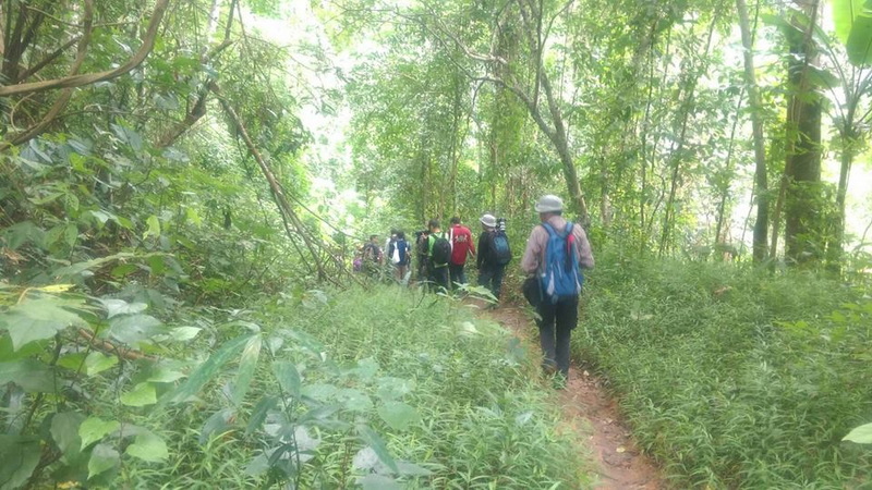 Forest Trail Hike in Nature at Doi Suthep-Pui National Park Hikers walking along a forest trail surrounded by tall trees and dense greenery at Doi Suthep-Pui National Park.