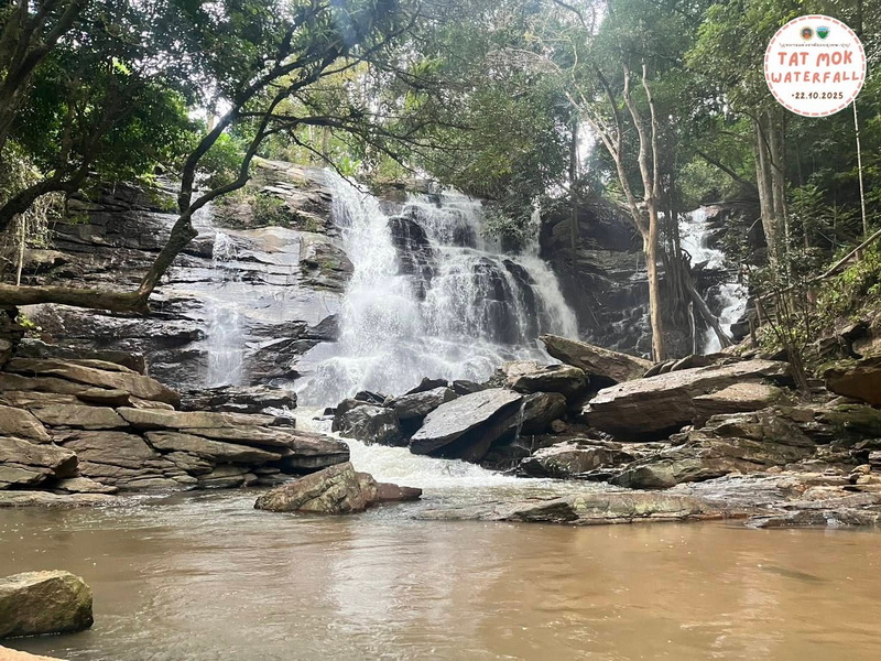 Serene Forest Waterfall at Doi Suthep-Pui National Park Waterfall flowing over rocks amidst a lush forest scene at Doi Suthep-Pui National Park.