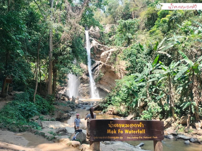 Mok Fa Waterfall in Lush Forest at Doi Suthep-Pui National Park Waterfall flowing down rocks with trees and people nearby in a forest setting at Doi Suthep-Pui National Park.
