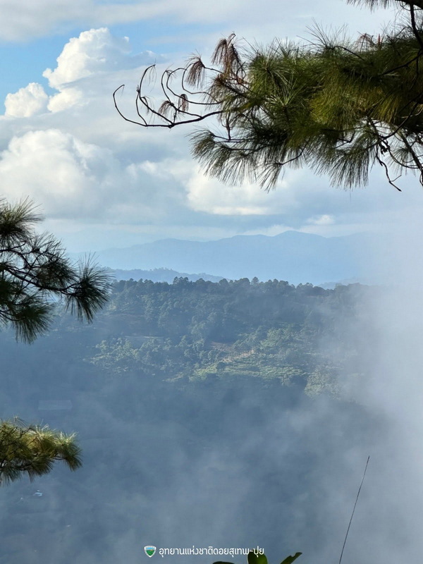 Mountain View from a Forest Viewpoint at Doi Suthep-Pui National Park Distant mountain landscape framed by pine branches and clouds at Doi Suthep-Pui National Park.