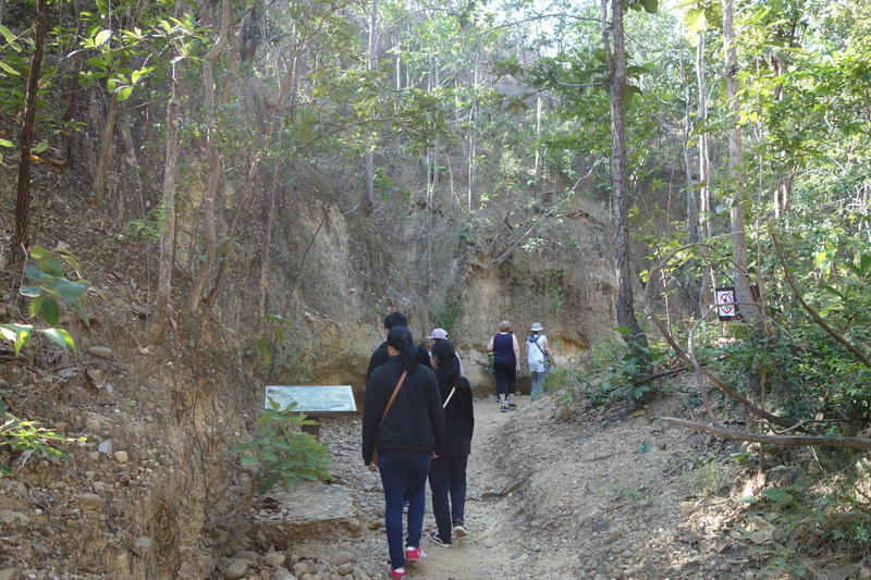 Group of people walking through a forested trail with rocky cliffs nearby at Phar Choi.