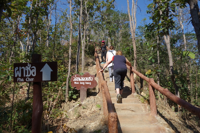 People ascending a forest trail with signs and wooden stairs at Pha Chor.