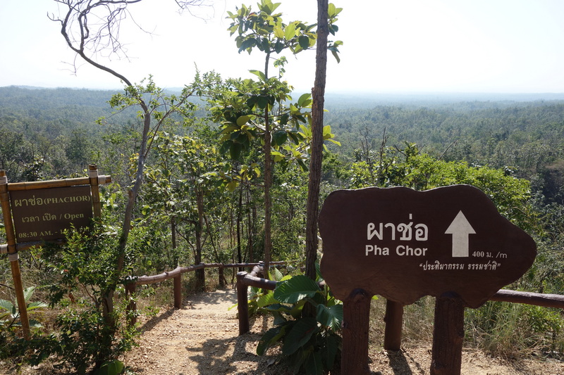 A dirt trail with a wooden railing leading into a lush forest, with a distant view of trees and sky at Pha Chor.