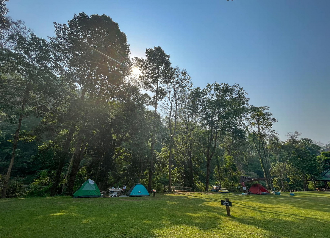 Camping tents on a grassy field surrounded by tall trees with sunlight filtering through at National Parks in the North of Thailand.