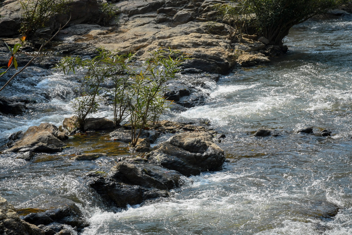 River flowing over rocks with green plants among the water at Ob Khan National Park.