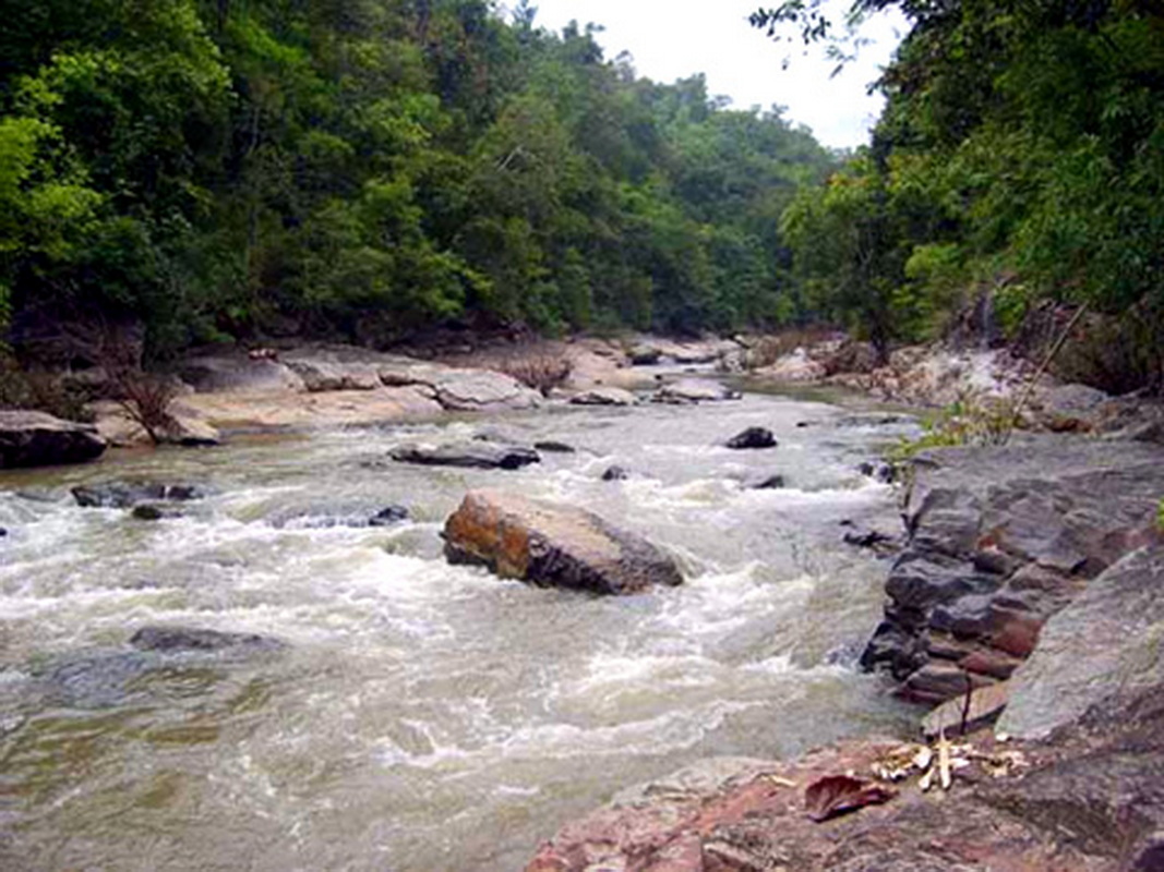 River flowing through a forest with rocks and dense greenery on both sides at Ob Khan National Park.