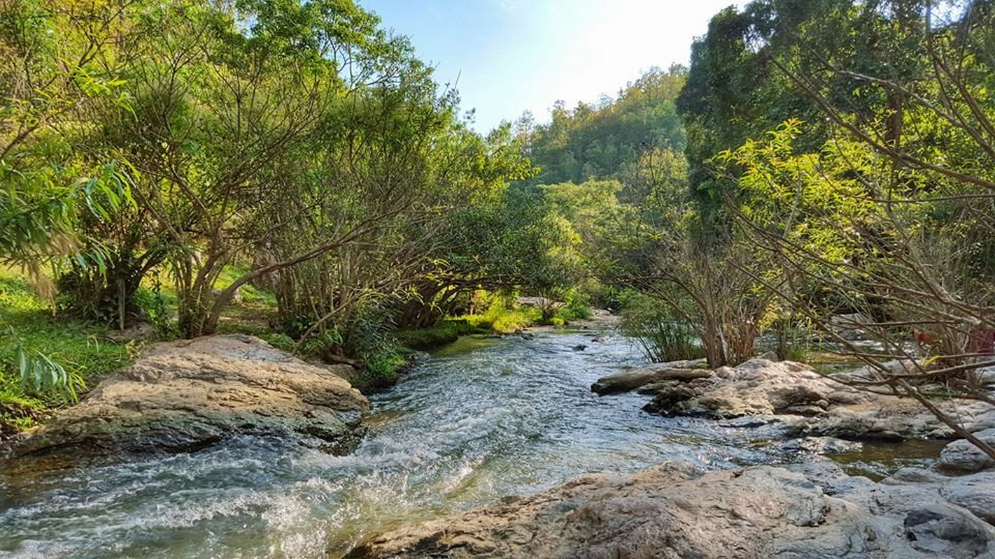 Flowing stream with rocks and green plants in a dense forest at Ob Khan National Park.