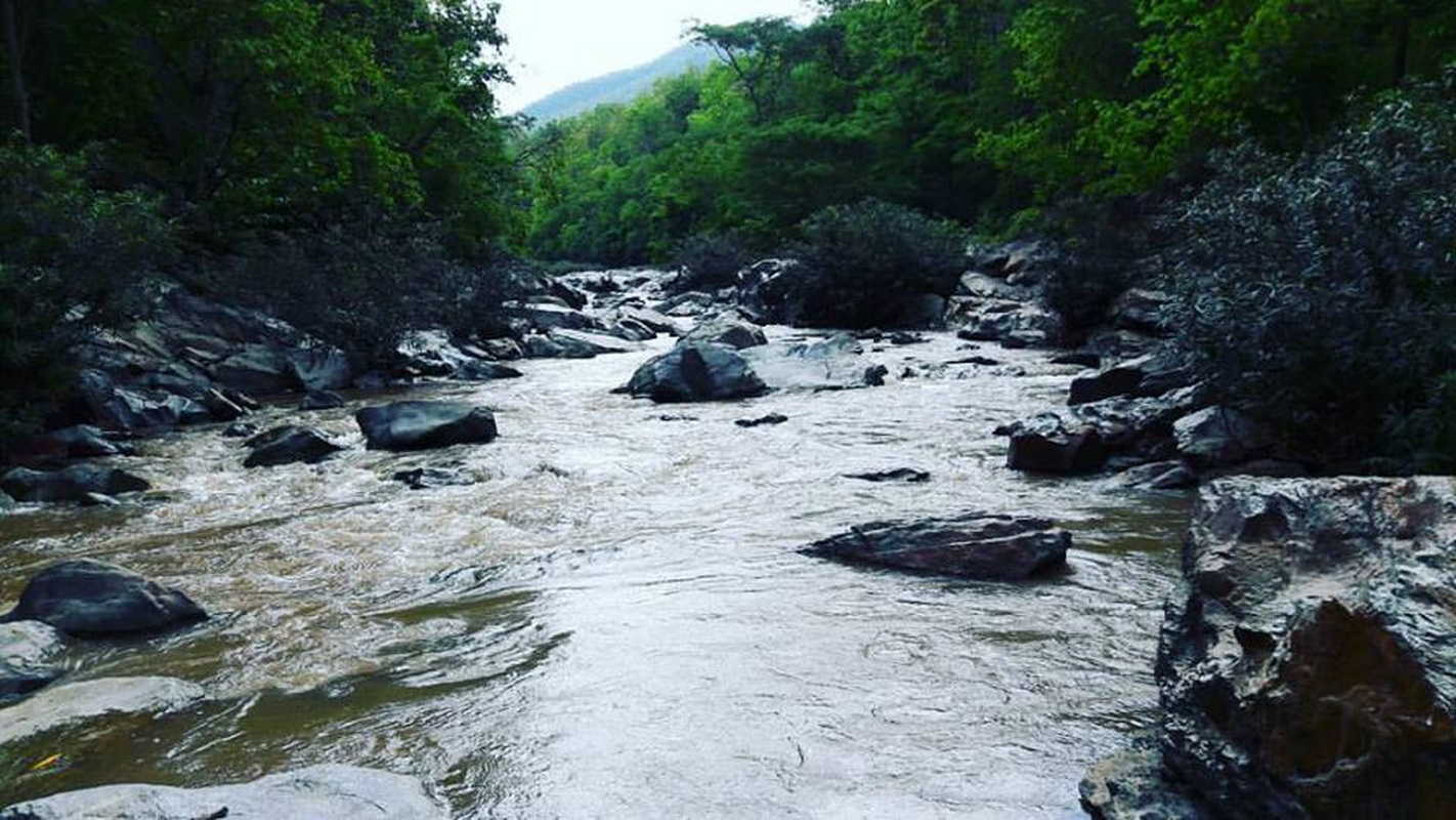 River with rocks flowing through dense green forest scenery at Ob Khan National Park.