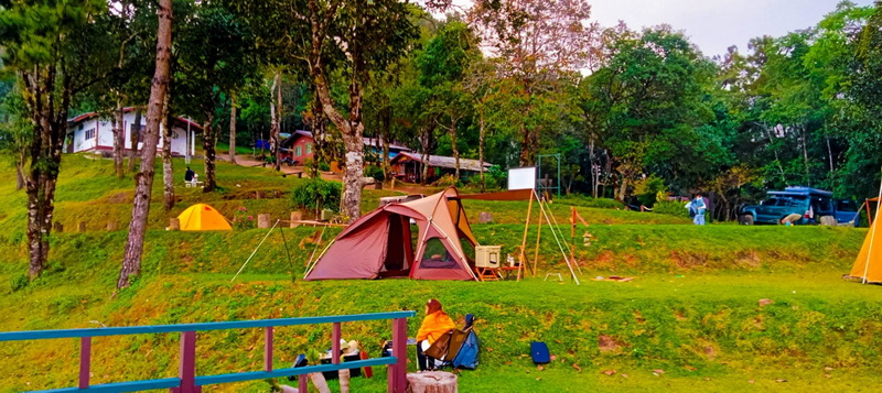 Camping Scene in Nature at Pha Daeng National Park Camping tents on grassy hillside with trees and parked cars in the background at Pha Daeng National Park.