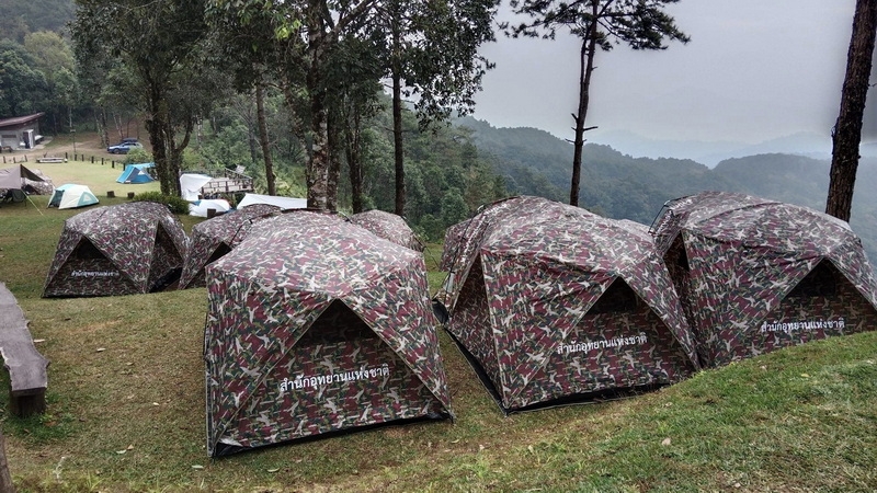 Camouflage tents pitched on grassy land with trees and mountain view in the background at Pha Daeng National Park.