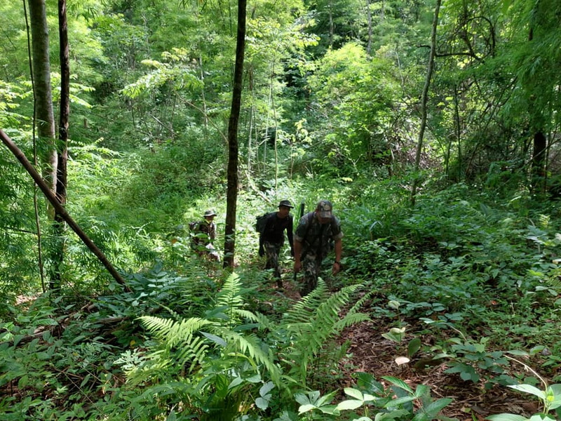 Forest Trail Hike at Pha Daeng National Park Three hikers with backpacks walking through a lush green forest trail at Pha Daeng National Park.