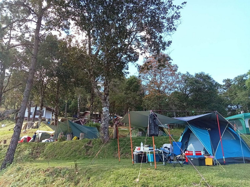 Campground with tents and trees on a grassy hillside at Pha Daeng National Park.