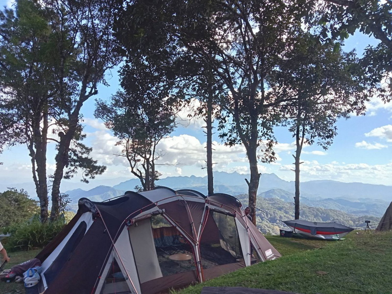 Camping in Mountain Forest at Pha Daeng National Park Tent pitched on grassy area surrounded by trees with mountain range in background at Pha Daeng National Park.