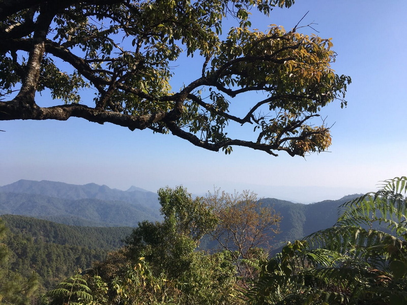 Scenic mountain view with trees and blue sky in the foreground at Pha Daeng National Park.