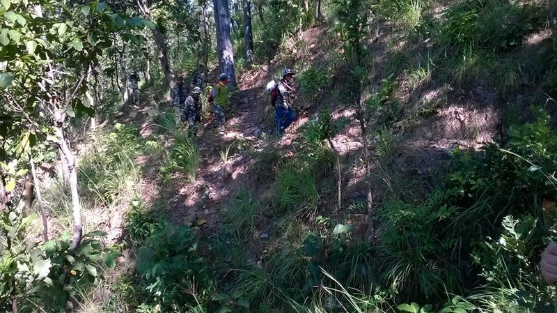 Hikers on Forest Trail at Pha Daeng National Park Hikers walking on a narrow trail through dense forest greenery at Pha Daeng National Park.