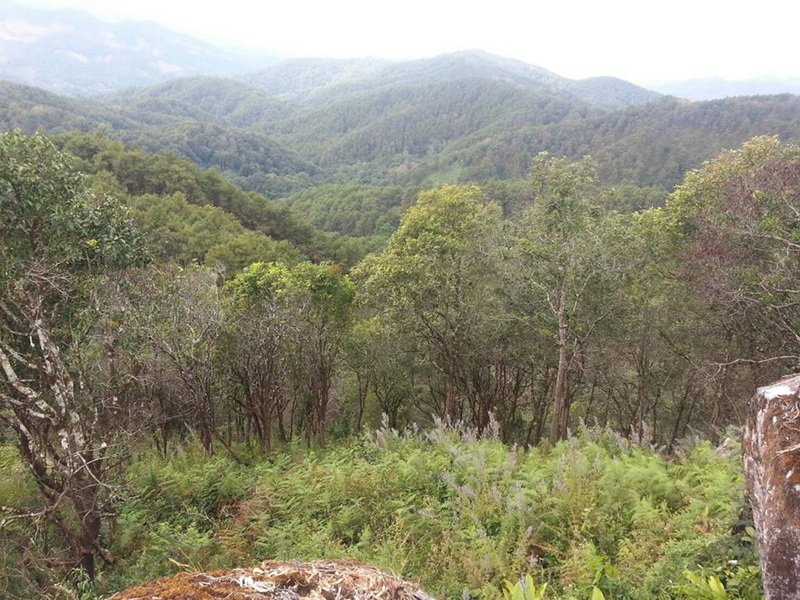 Expansive view of lush forested hills and mountains in the distance at Pha Daeng National Park.