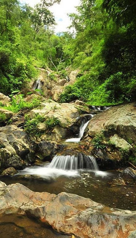 Serene Forest Waterfall at Sri Lanna National Park Small waterfall flowing over rocks amidst dense green forest at Sri Lanna National Park.