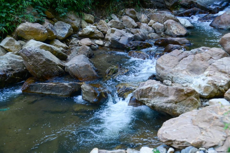 Stream flowing over rocks with surrounding green plants at Si Lanna National Park.