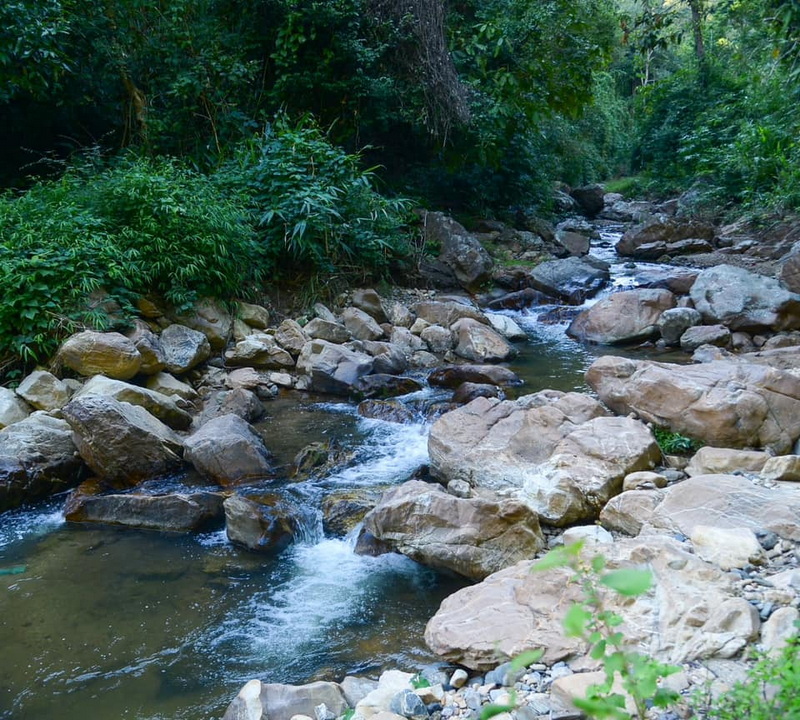 A clear stream flowing over rocks surrounded by lush green trees in a forest at Sri Lanna National Park.