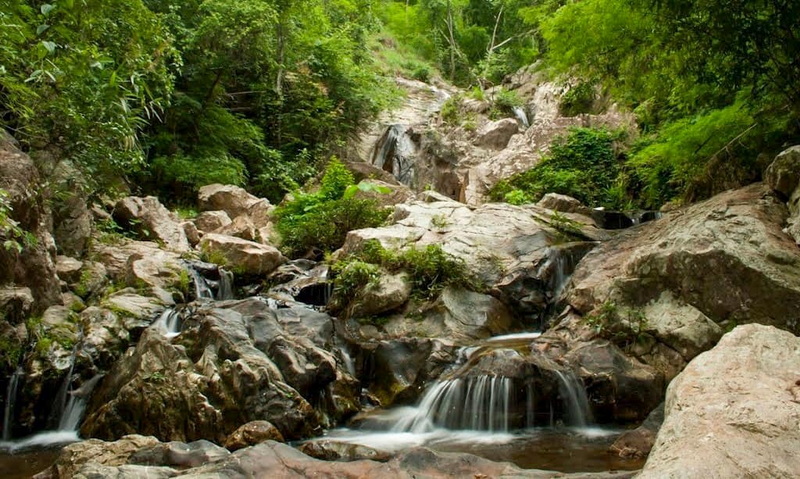 A rocky stream with small waterfalls and dense green trees around it at Sri Lanna National Park.
