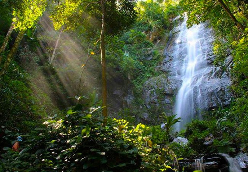 Serene Waterfall in Forest at Sri Lanna National Park Waterfall in dense forest with sunlight streaming through trees at Sri Lanna National Park.