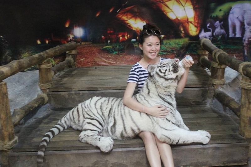 Woman sitting on platform holding a white tiger cub with background elephants and vibrant scene at Things to Do in Chiang Mai at Night.