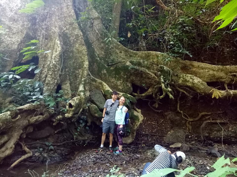 Two hikers in front of a massive tree with roots in a lush forest at Ban Yang Pu Toh.