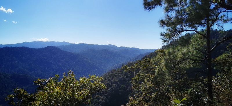 Forested View at Ban Yang Pu Toh at Ban Yang Pu Toh trekking Forested hills under a clear blue sky at Ban Yang Pu Toh trekking.