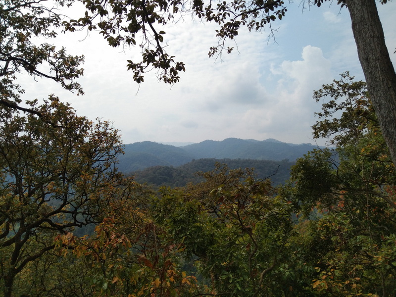 Distant mountain range seen through trees with cloudy sky above at Ban Yang Pu Toh.