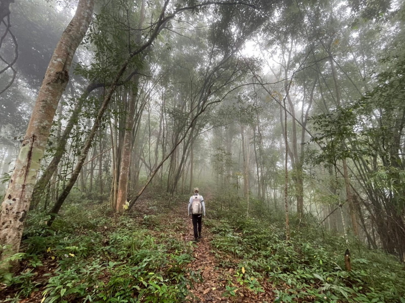 A person walking through a foggy forest trail surrounded by tall trees and green plants at Ban Yang Pu Toh.