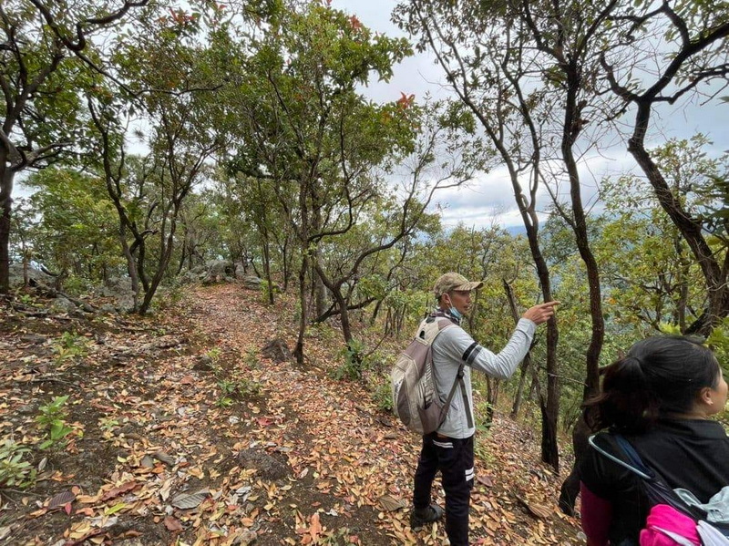 Forest Trail Hike at Ban Yang Pu Toh Two hikers walking through a forest trail with trees and fallen leaves at Ban Yang Pu Toh.