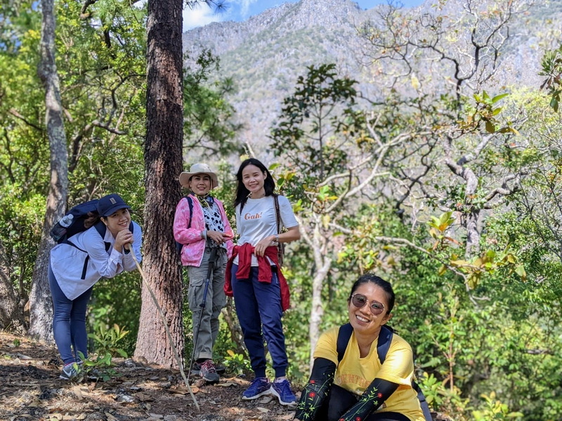 Forest Hiking Adventure at Ban Yang Pu Toh Four women hiking through a forest with mountain scenery in the background at Ban Yang Pu Toh.