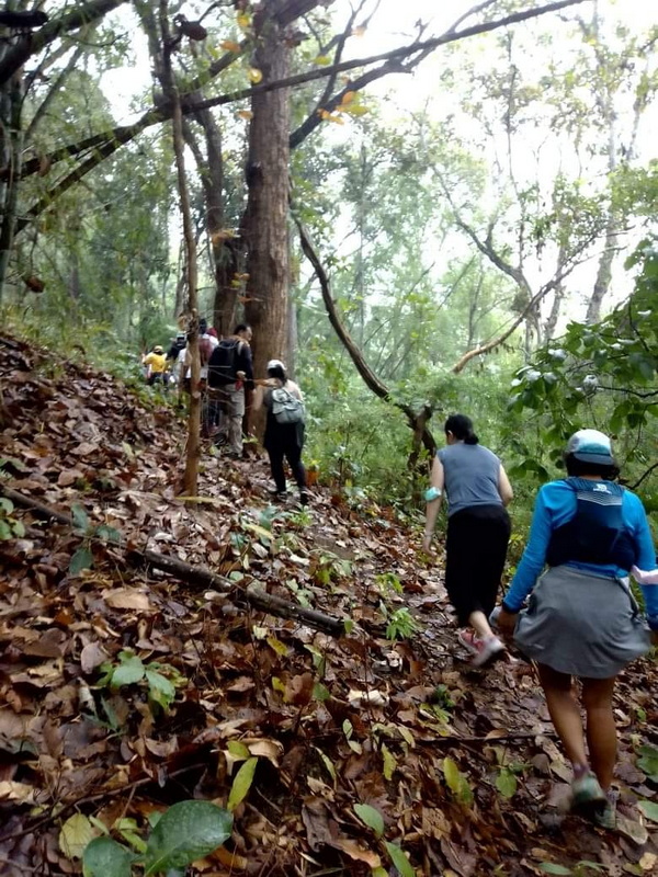 Hikers ascending a forest trail surrounded by trees and fallen leaves at Ban Yang Pu Toh.