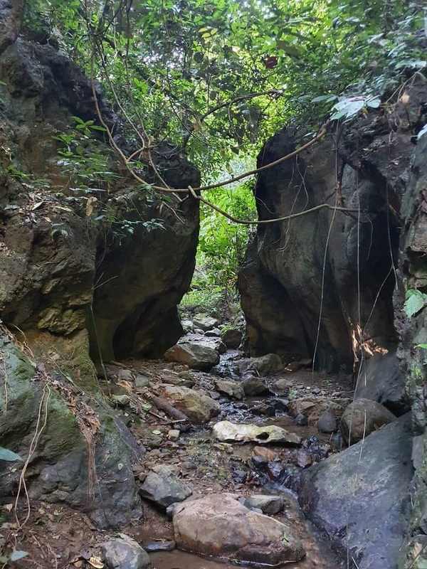 Forest Canyon Stream at Ban Yang Pu Toh A rocky stream running through a lush, green forest canyon with large boulders at Ban Yang Pu Toh.
