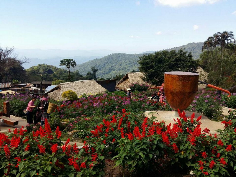 Colorful flower garden with huts and mountain view in background at Hmong Doi Pui Village.