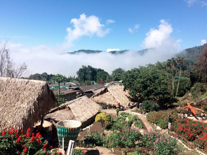 Scenic Mountain Village at Doi Pui Hmong Village Village with traditional thatched houses, flower beds, and mountain scenery in the background at Doi Pui Hmong Village.