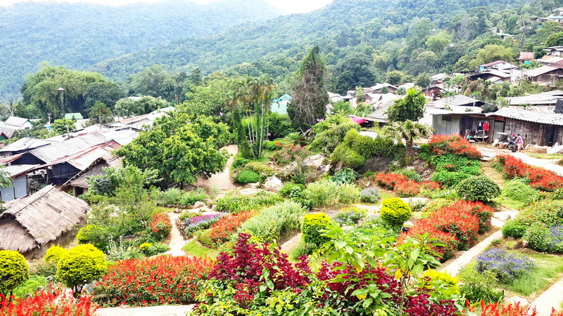 Lush Garden with Hillside View at Hmong Doi Pui Village Colorful garden with flowers and greenery overlooking forested hills and houses at Hmong Doi Pui Village.