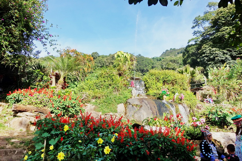 Colorful garden with flowers, trees, and a small waterfall against hillside backdrop at Doi Pui Hmong Village.