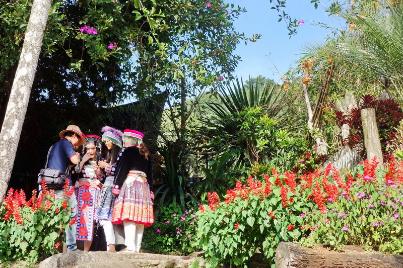 Group of four people in traditional clothing among vibrant flowers and greenery at Doi Pui Hmong Village.