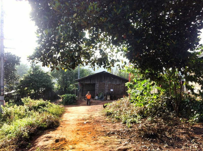 Dirt pathway with trees and a wooden building, person walking in the daylight at Khun Chang Kian Village.